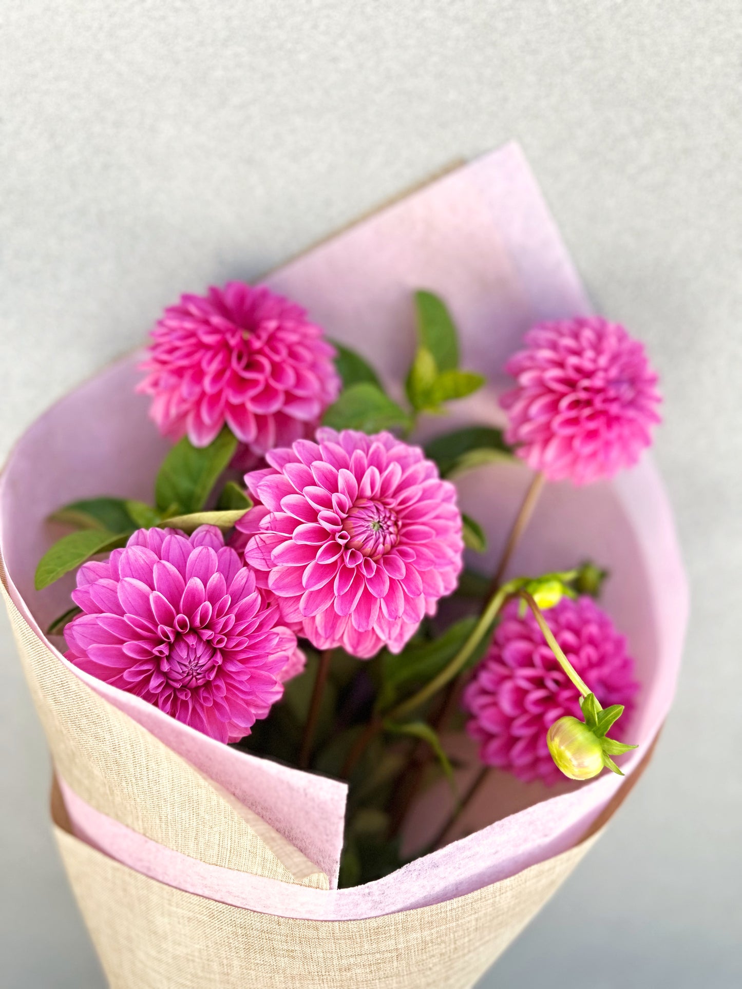 Bella's Fresh Picks - Dahlia's