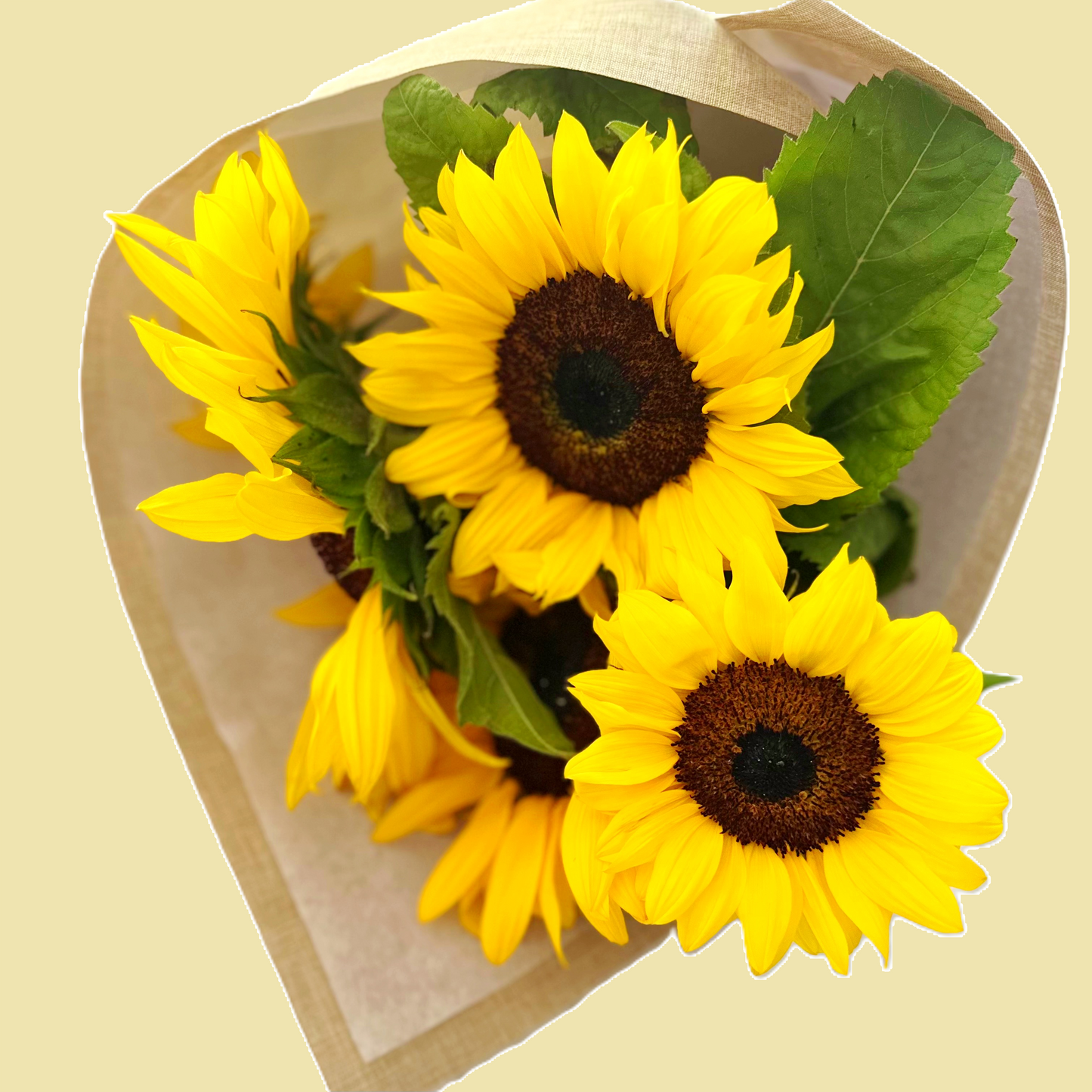 Bouquet of sunflowers in a decorative brown paper wrap | same day flower delivery Hills District, birthdays, just because, treat yourself.