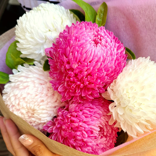Bouquet of pink and white Mums | Same day flower delivery