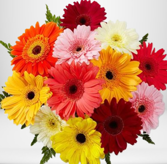 Gorgeous Gerberas Bouquet Mixed