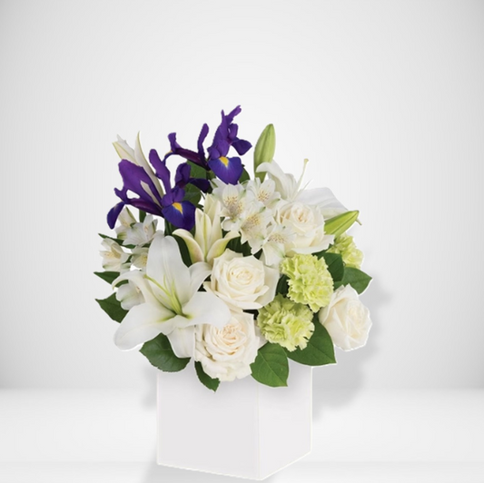 Grace Sympathy Box